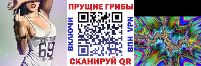 где можно купить   Ува  kraken онион  Псилоцибиновые грибы Psilocybe 